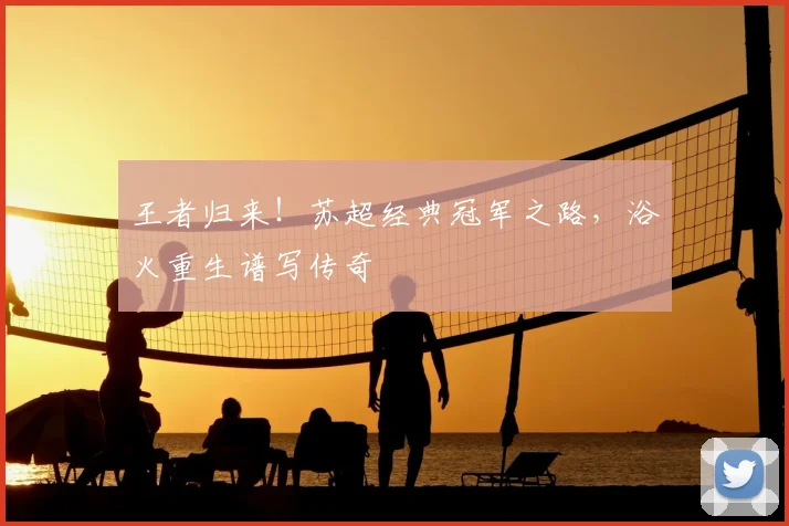 王者归来！苏超经典冠军之路，浴火重生谱写传奇